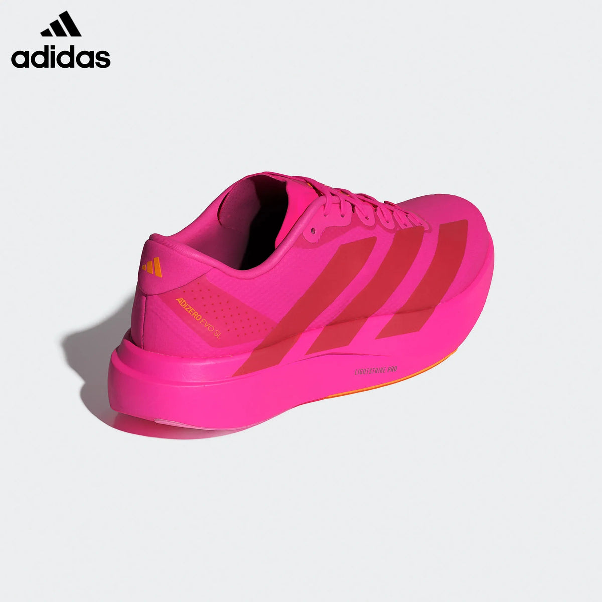 adidas Adizero Evo SL Running Shoes - Bright Pink